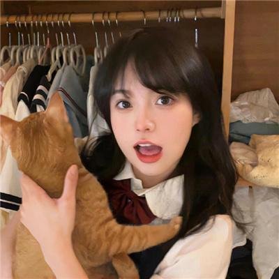 与螂共舞
